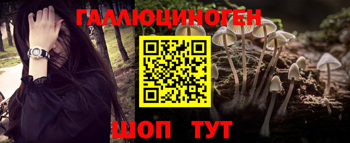 Псилоцибиновые грибы мухоморы  Вход с VPN  где найти   Калининград 