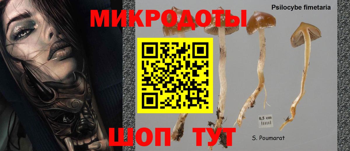 Псилоцибиновые грибы прущие грибы Калининград
